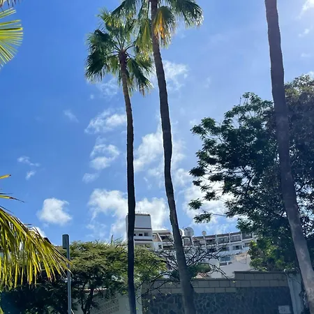 Apartamento Geranios Paradise *